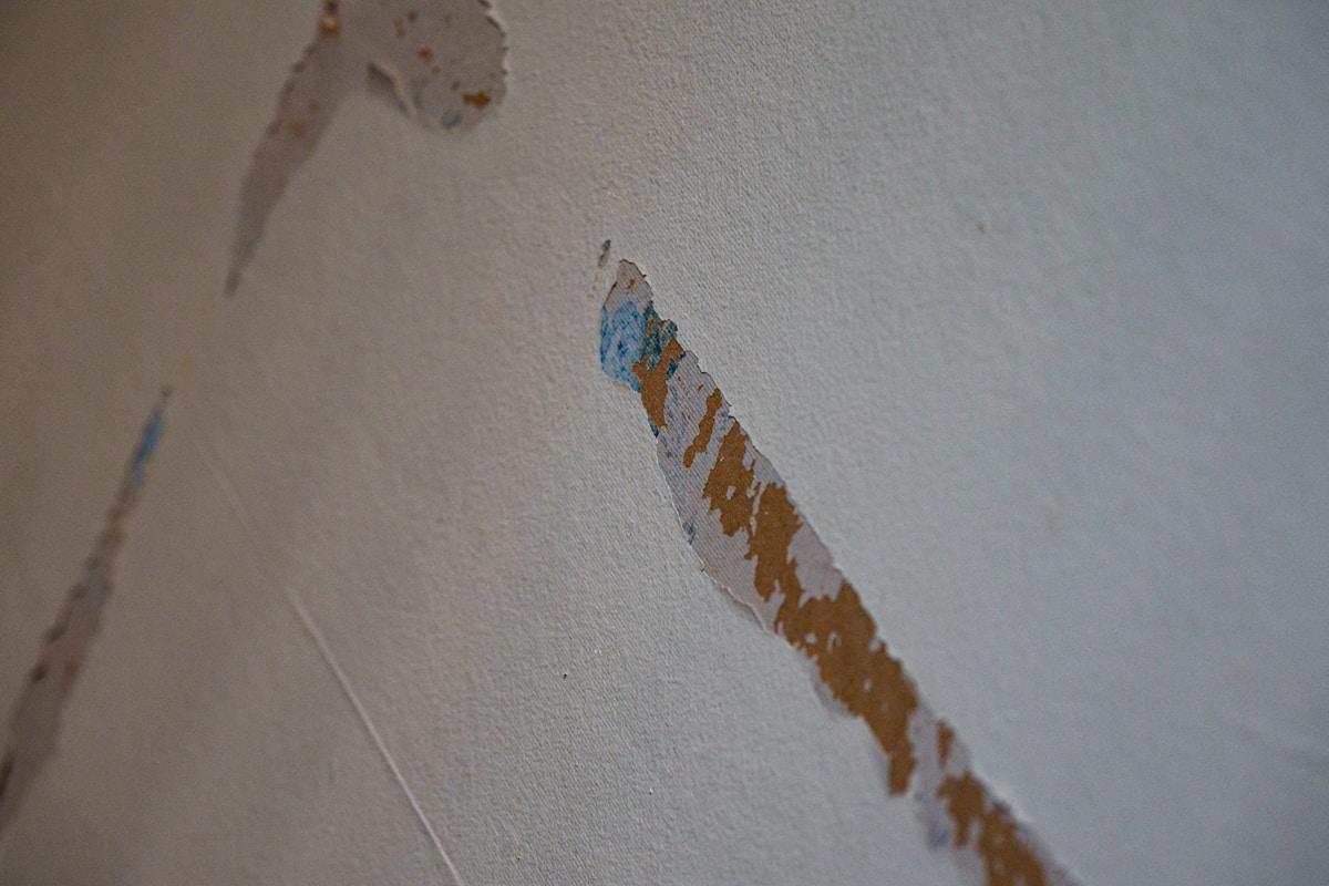 Mold Remediation service in Bentonville, AR